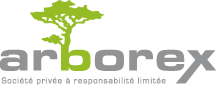 Elagages Arborex SPRL